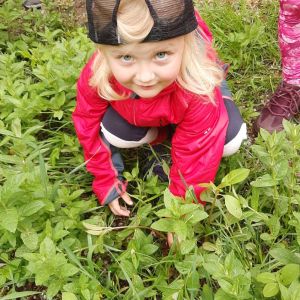Springkraut rupfen und zupfen Kindergarten Wildalpen