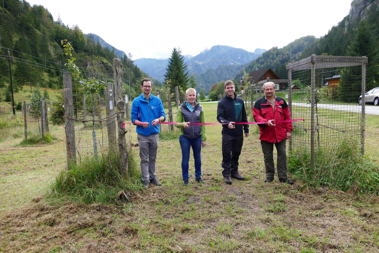 DER NATUR- UND GEOPARK STERISCHE EISENWURZEN SETZT AUF STREUOBST DER NATUR- UND GEOPARK STERISCHE EISENWURZEN SETZT AUF STREUOBST